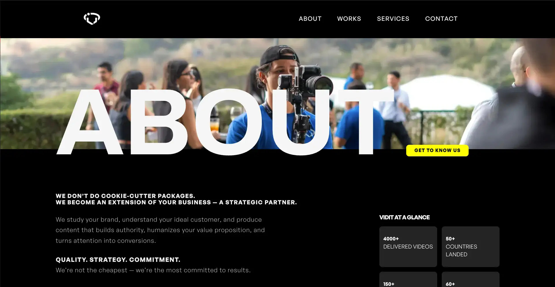 Vidit Website